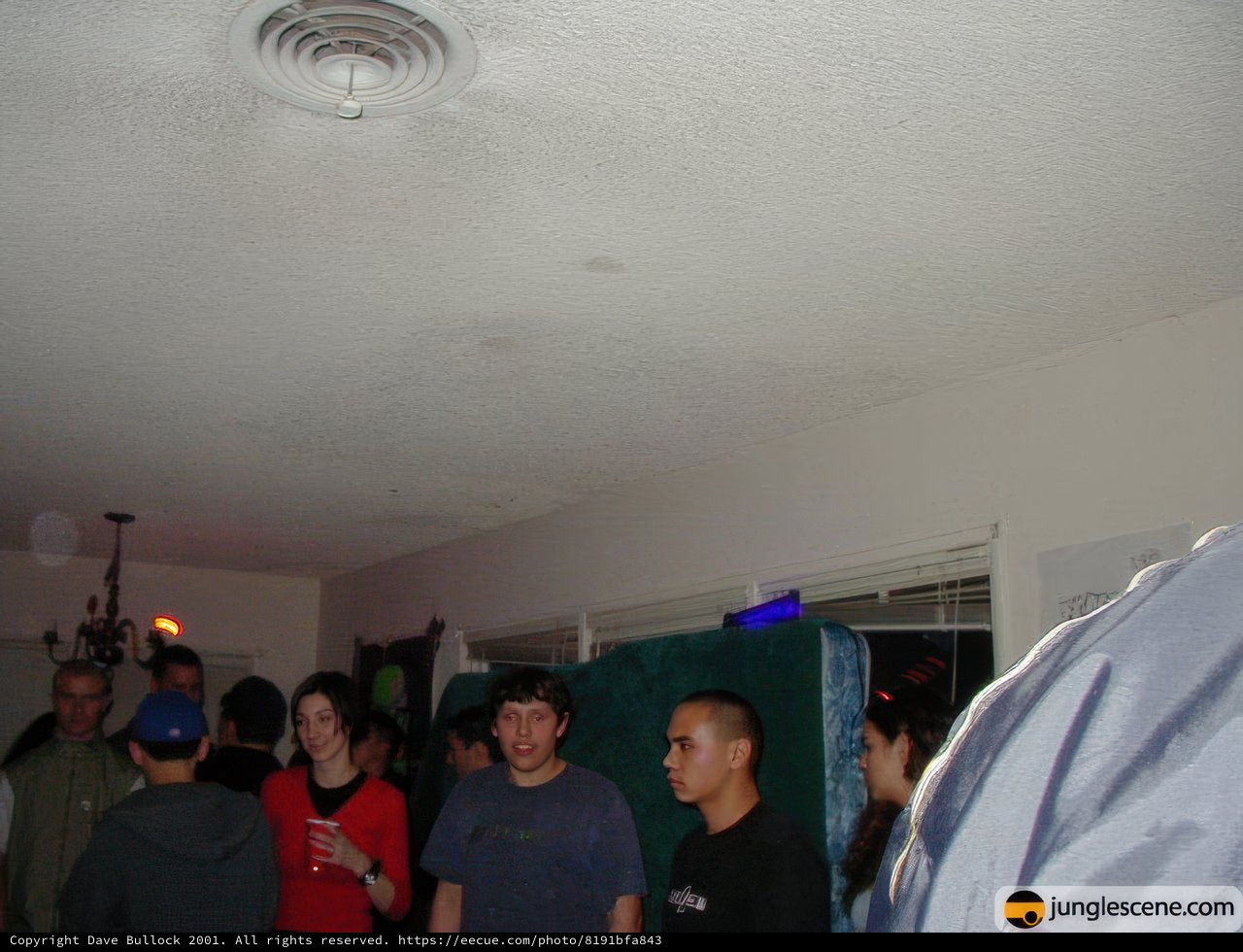 Crowd Gathered around Ambient Light