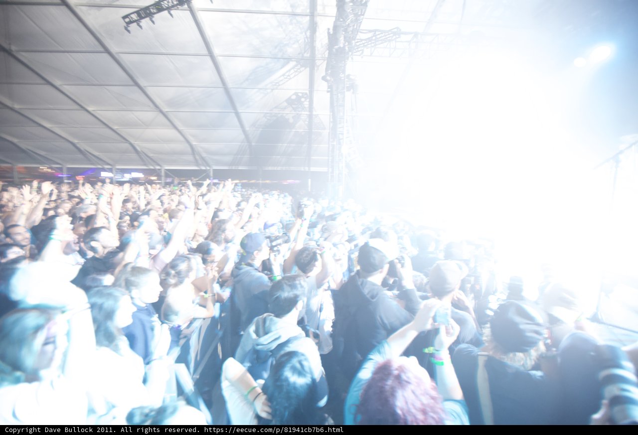 Rocking with the Urban Crowd