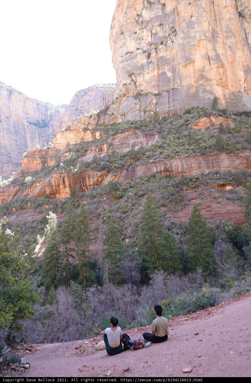Sitting on the Edge of Nature's Majesty