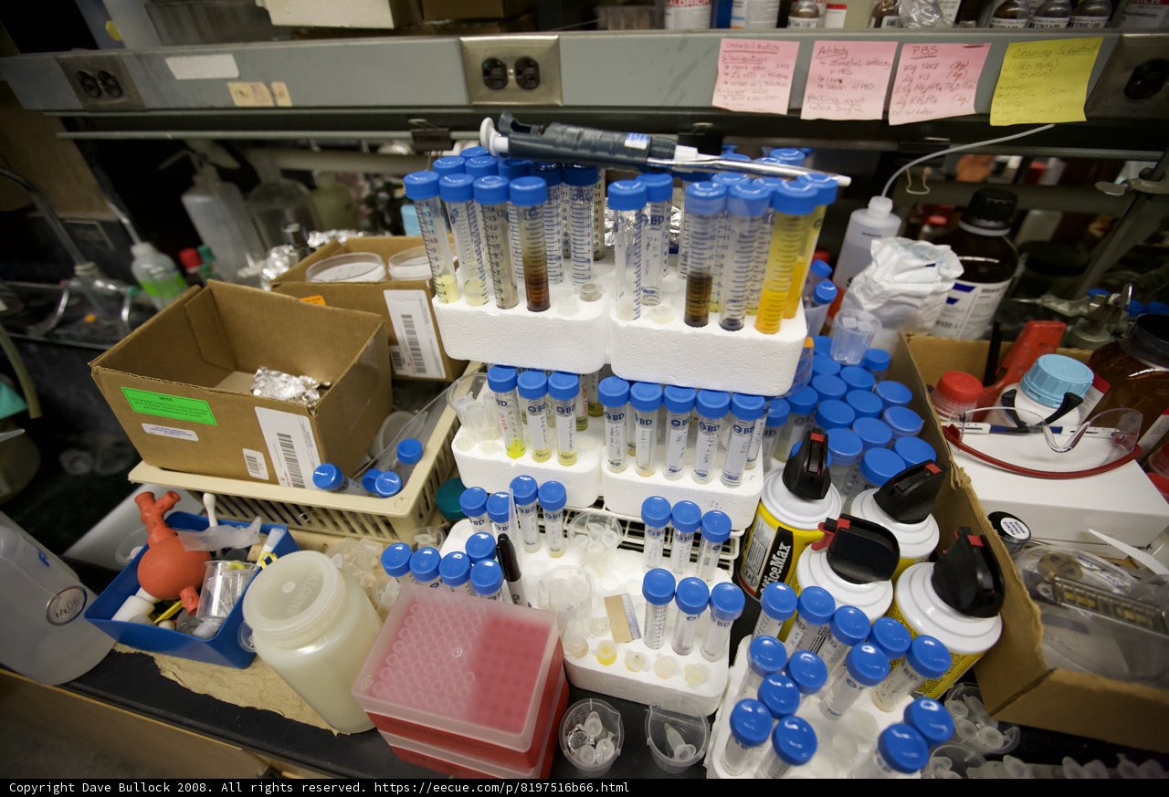 The Colorful Chaos of a Nanomachine Lab