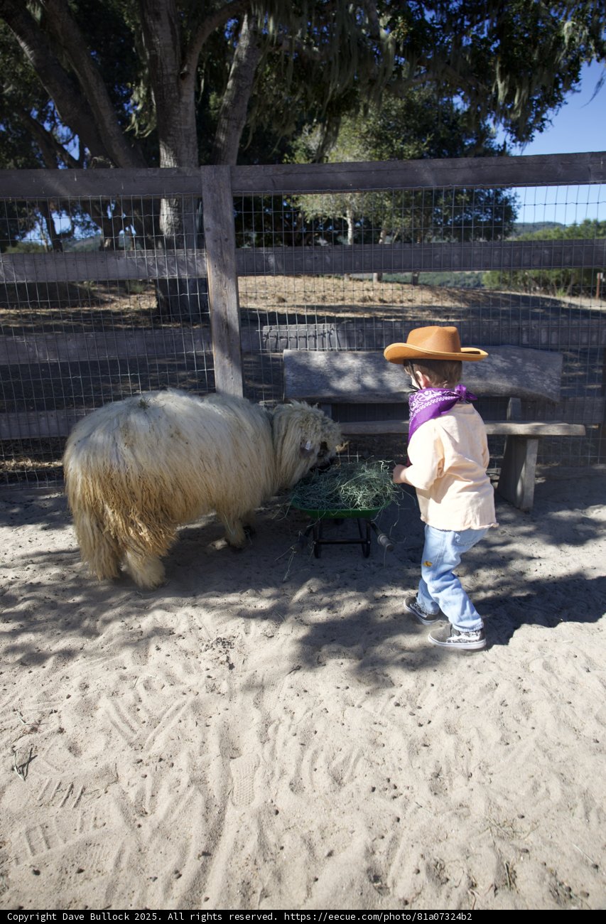 Ranch Adventures in Carmel Valley