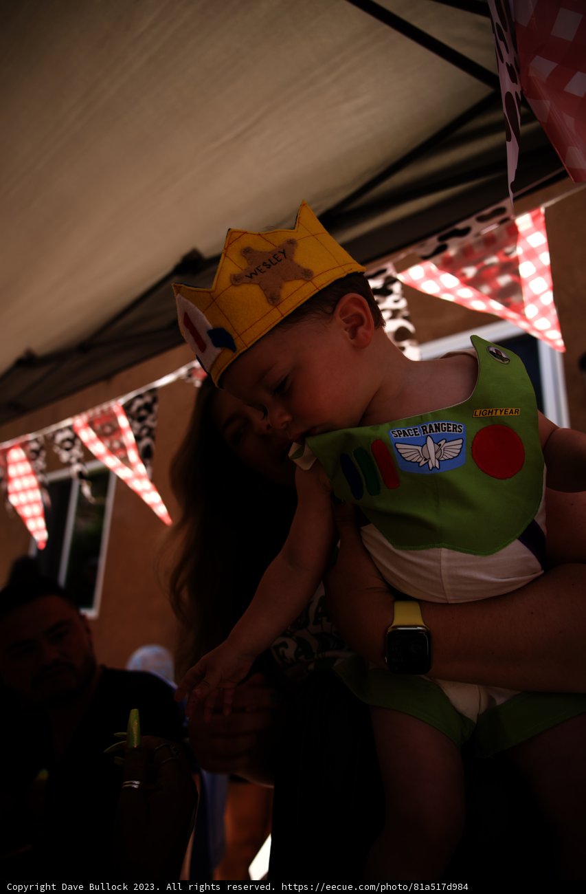 Wesley's First Birthday Bash