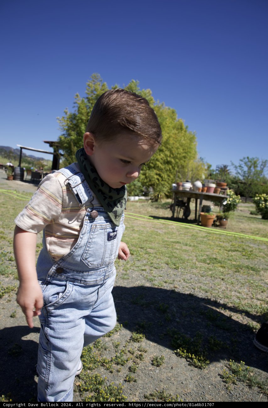 Young Explorer on the Move