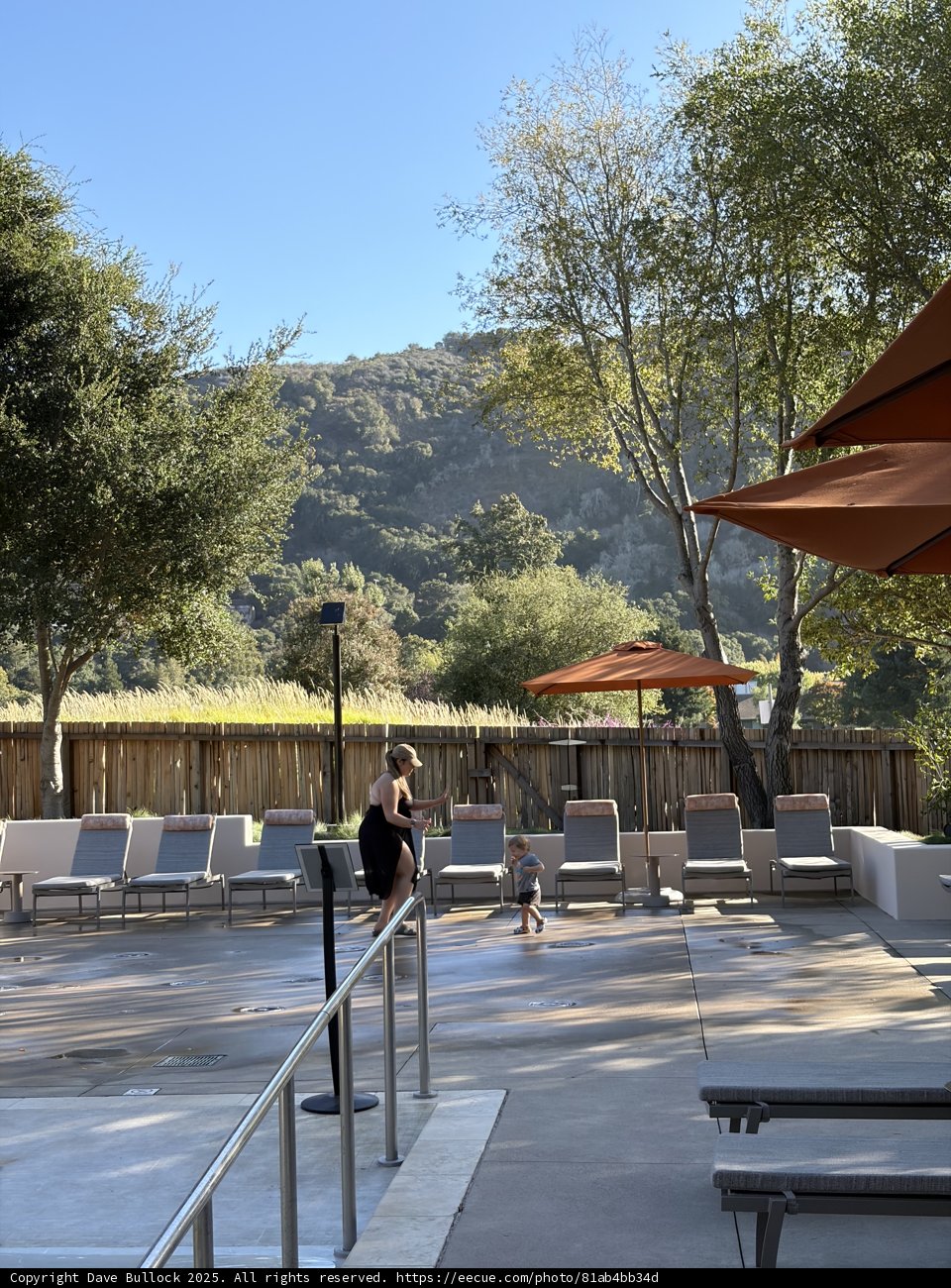 Tranquil Afternoon in Carmel