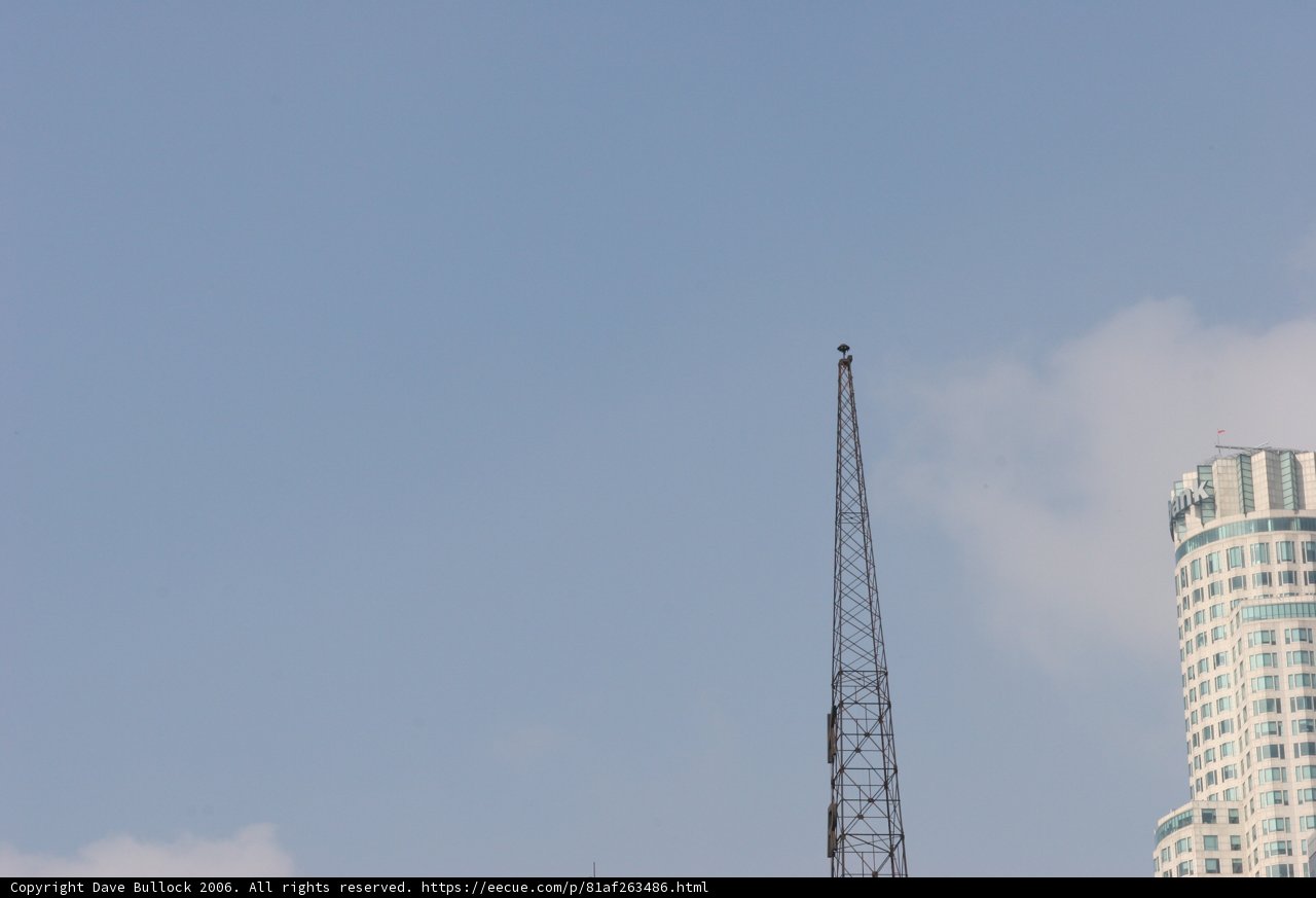 Towering Over the City