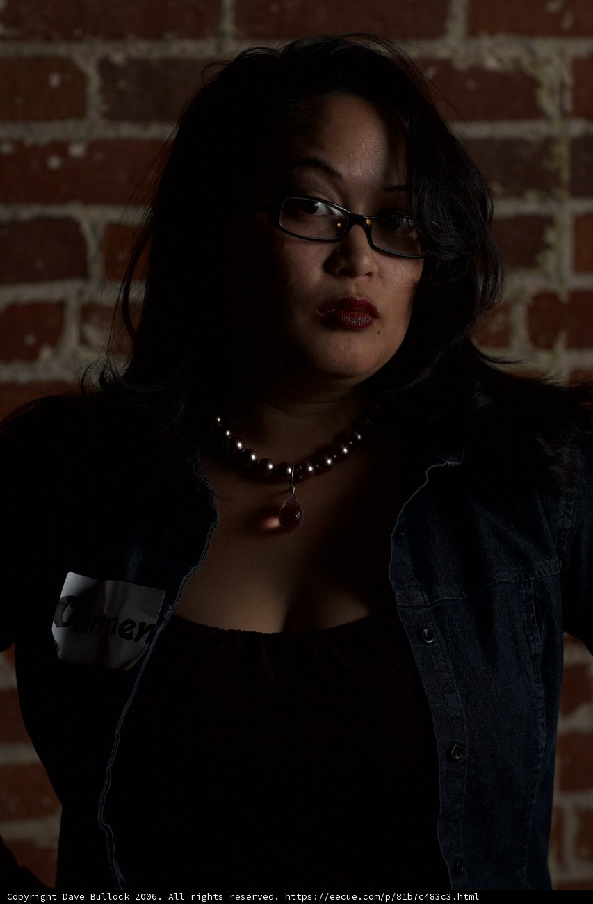 Brick Wall Beauty