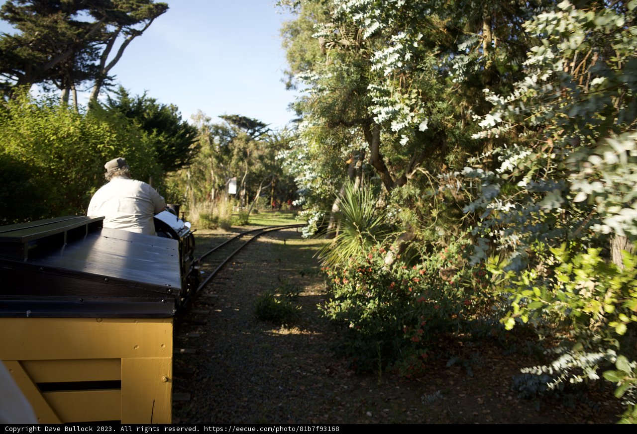 Journey Amidst Nature: Train Travel Encounter