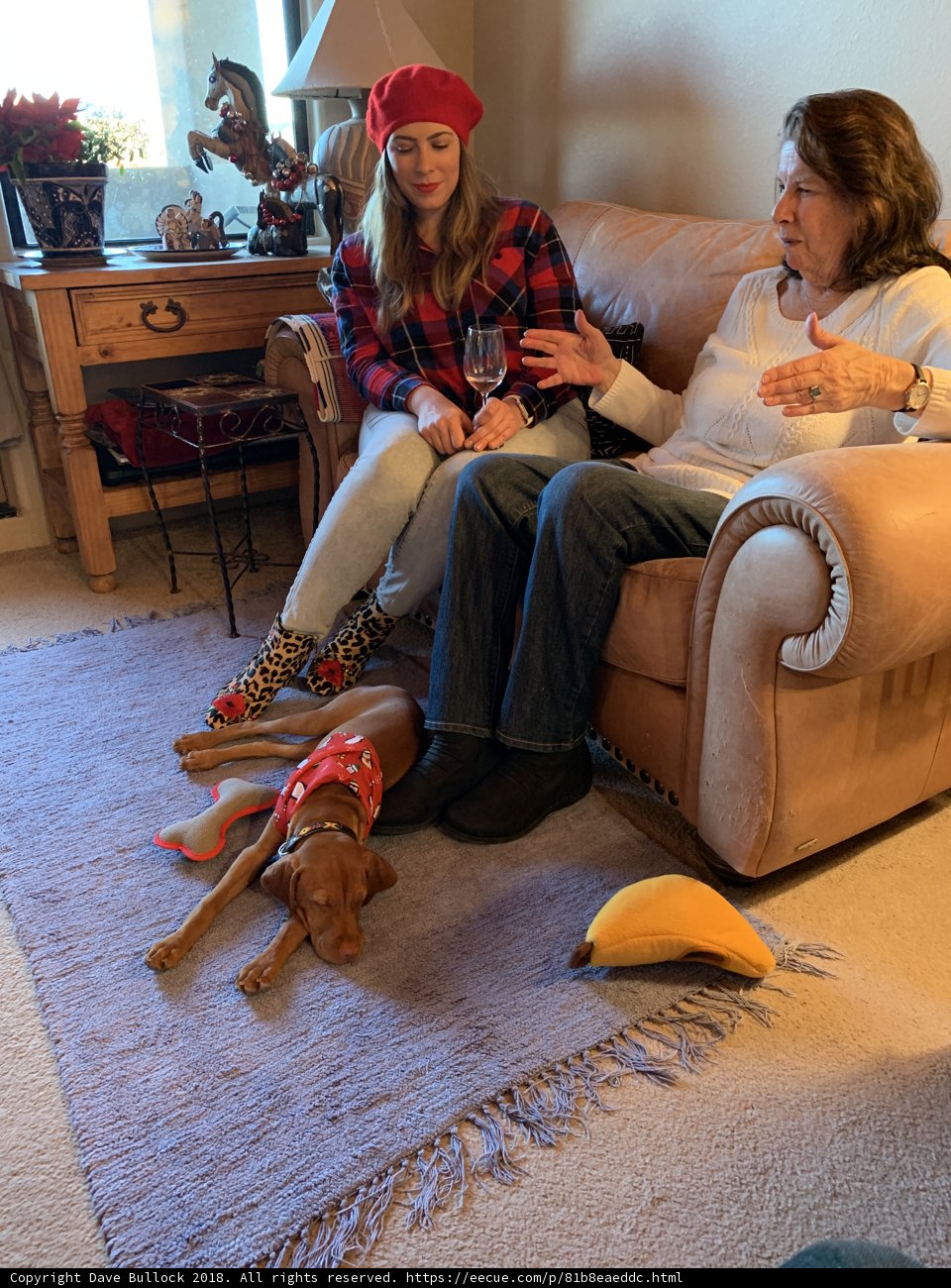 A Cozy Afternoon on the Couch with Canine Companions
