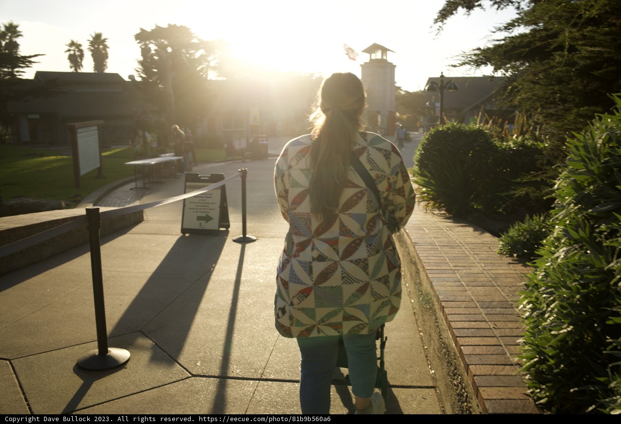 Golden Morning Stroll