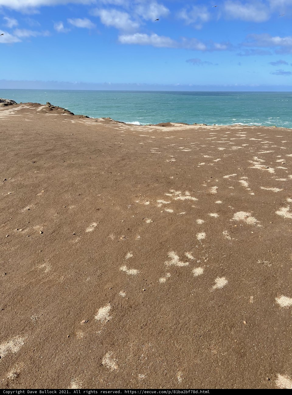 Serene Beach View in Jenner, California