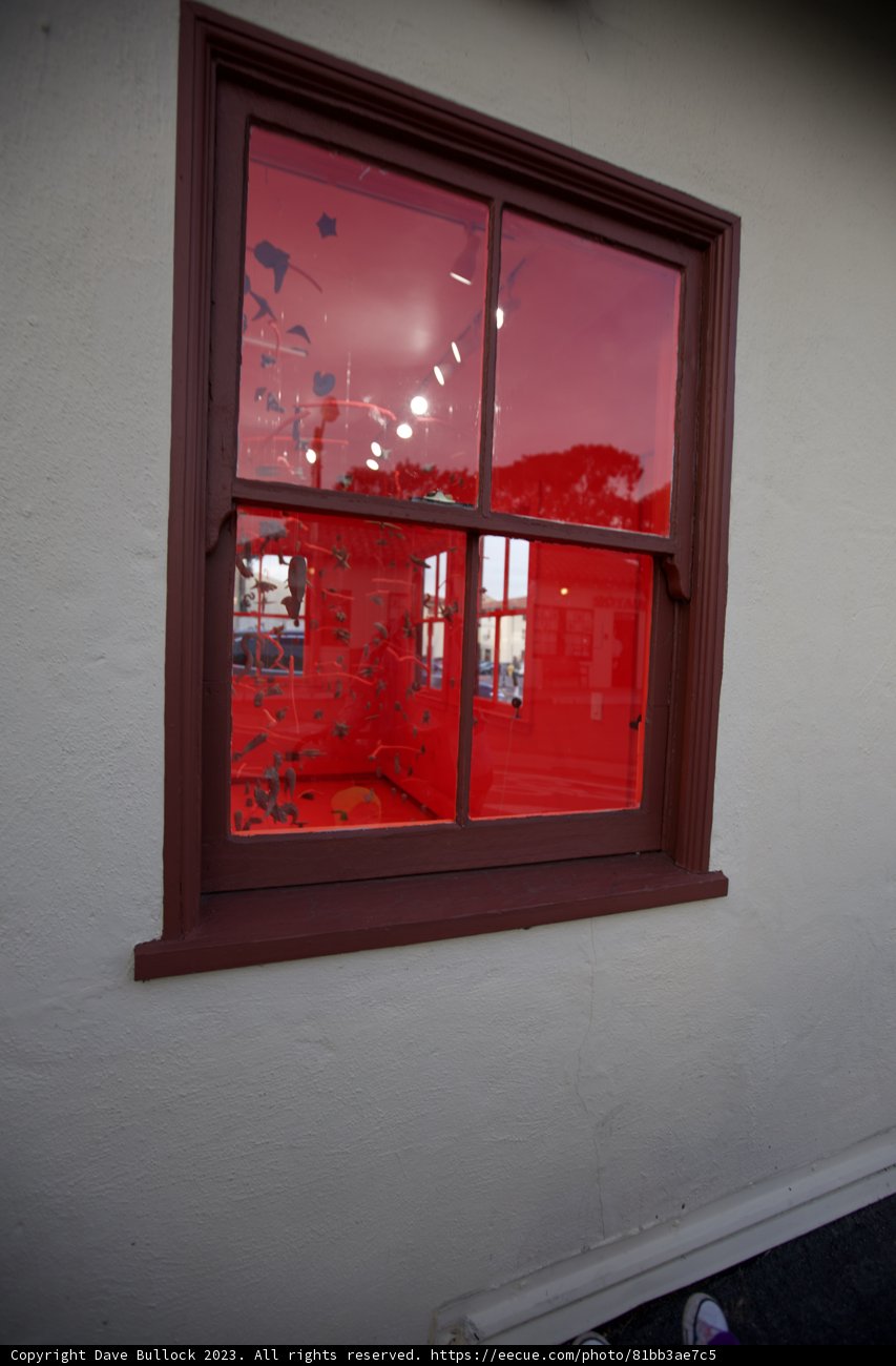 Reflective Moments at Fort Mason