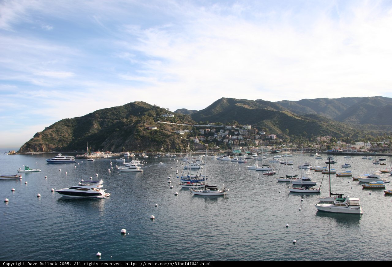 Yacht Haven on the Waterfront