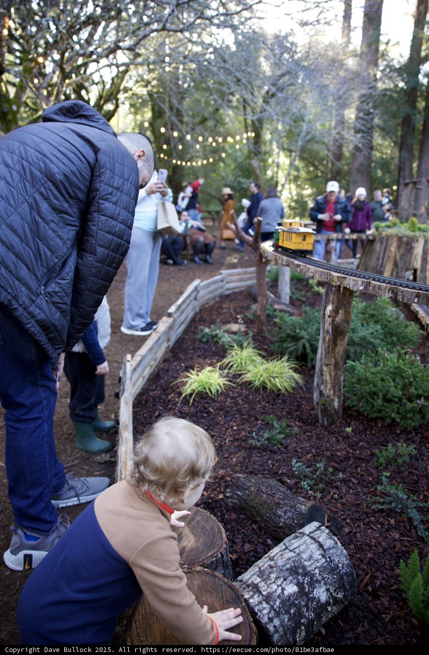 Woodland Adventures at Thistlewyck