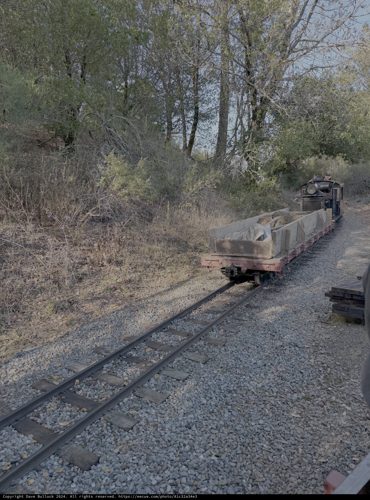 Narrow Gauge Railway Train in Rural Setting