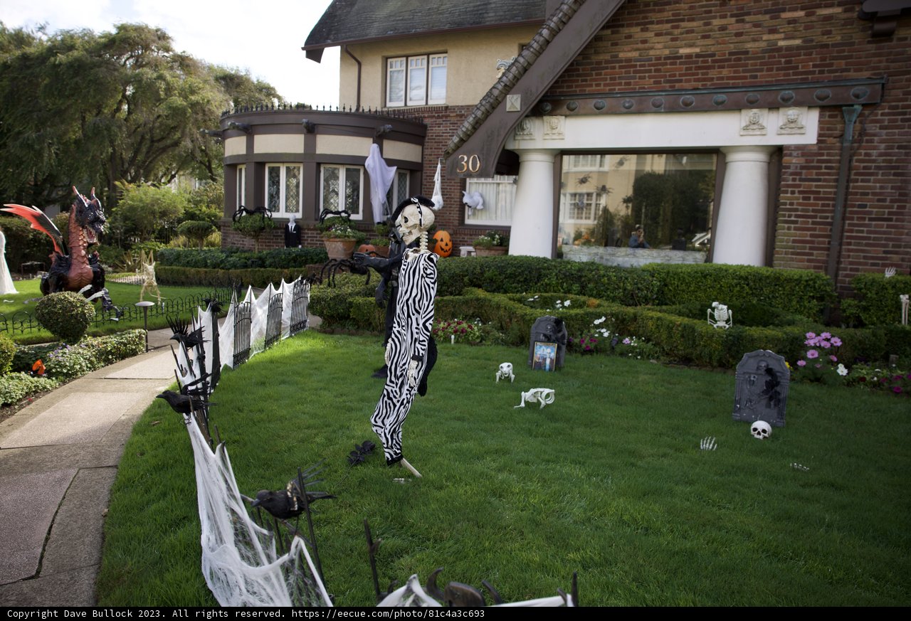 Halloween Thrills in San Francisco's Suburbia, 2023