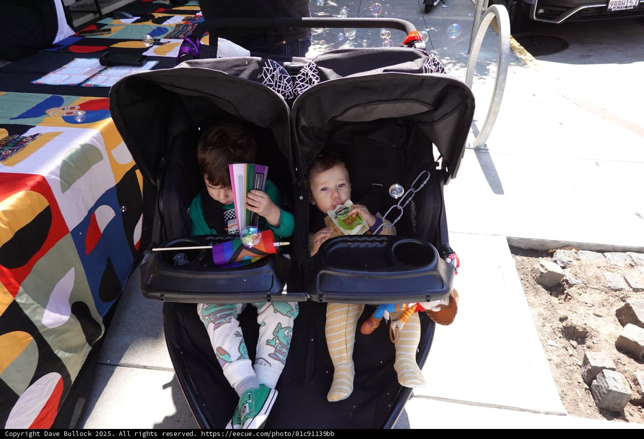 Double Trouble on a Sunny Walk