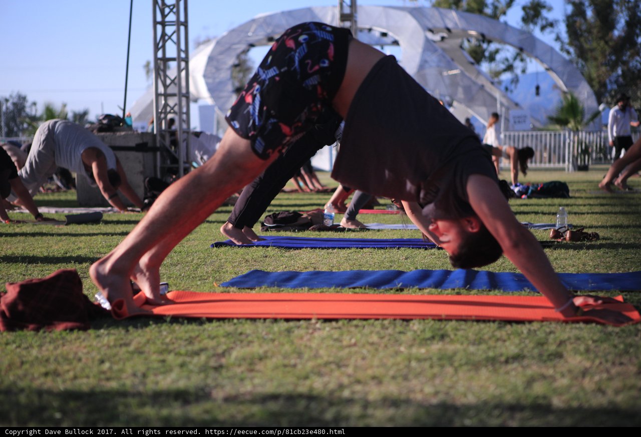 Yoga in the Grass