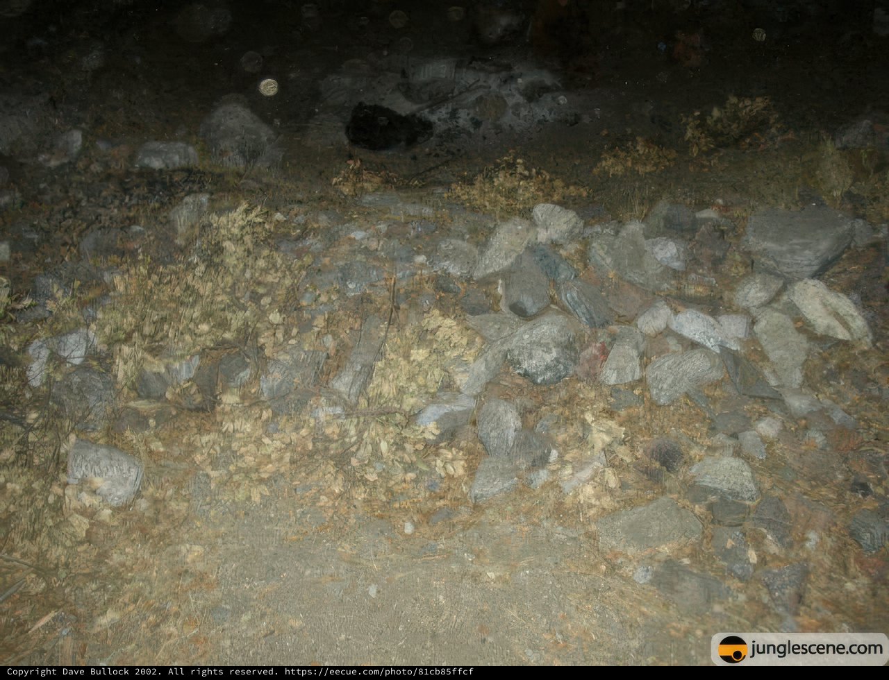 Nature's Rock Pile