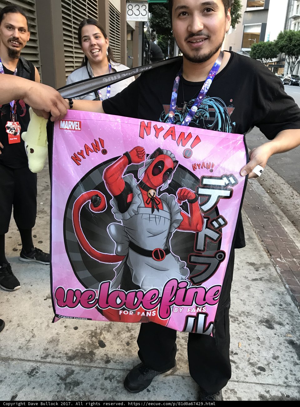 Cat Lovers Unite