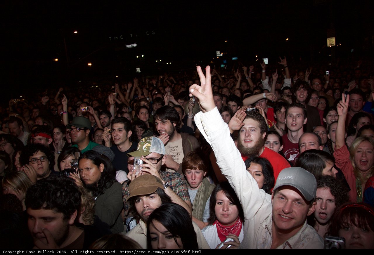 Detour Concert Crowd