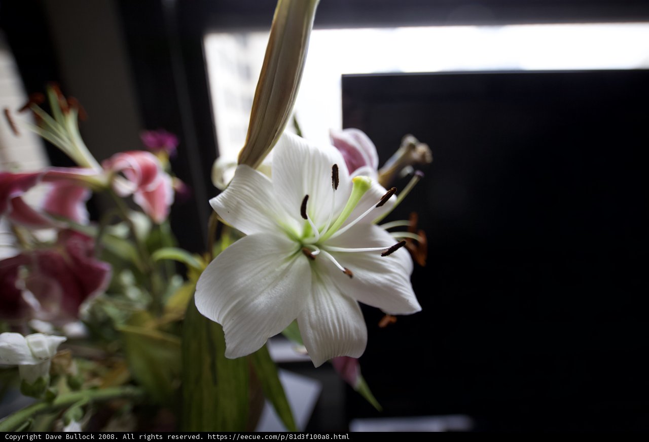 Ikebana-inspired Lily Bouquet