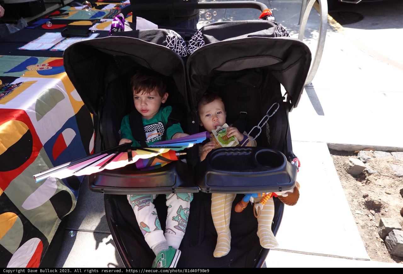 Stroller Adventures