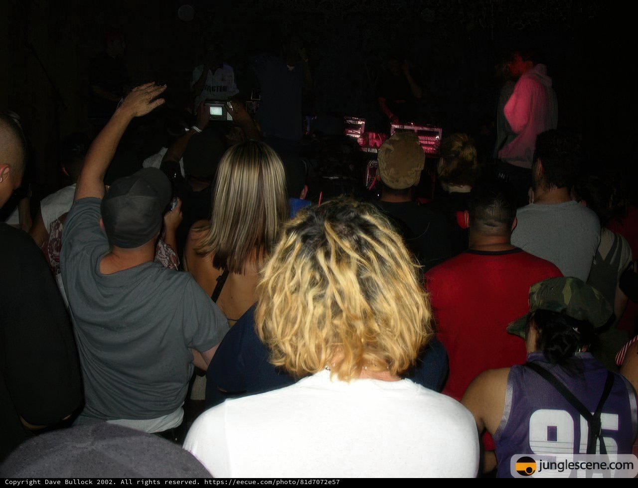 Nightclub Crowd