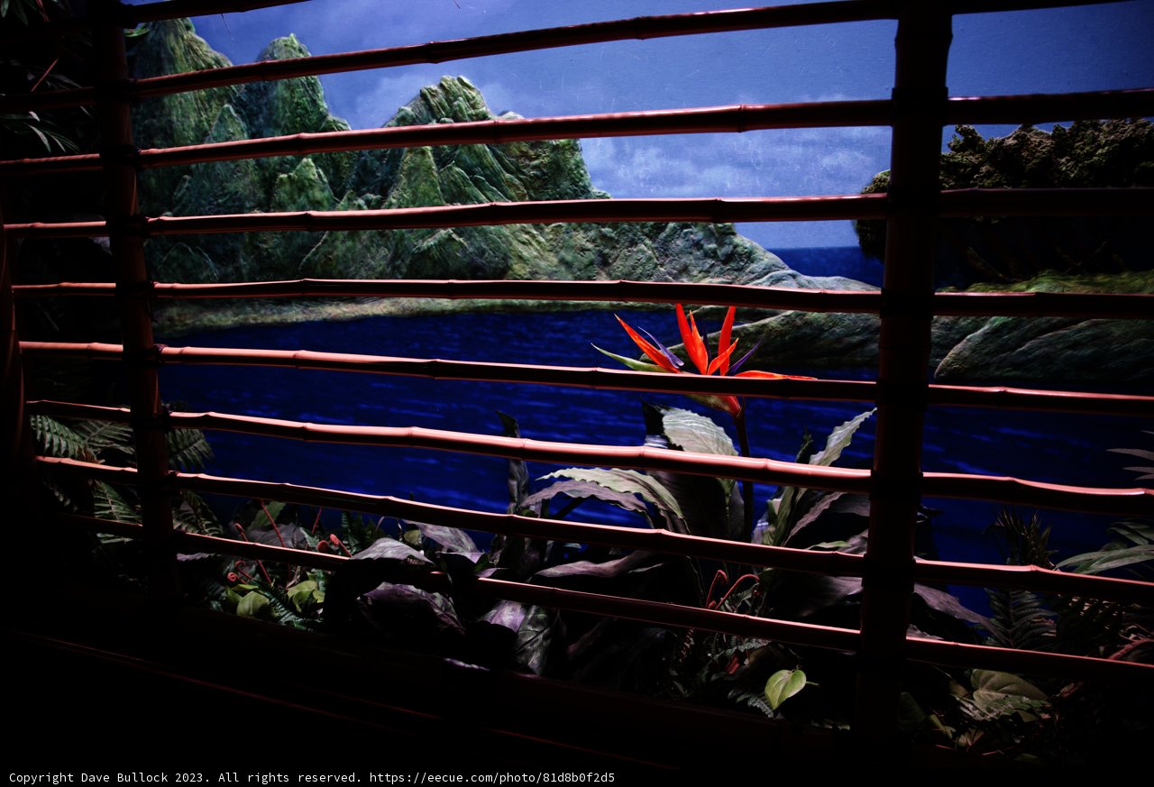 Tropical Paradise View