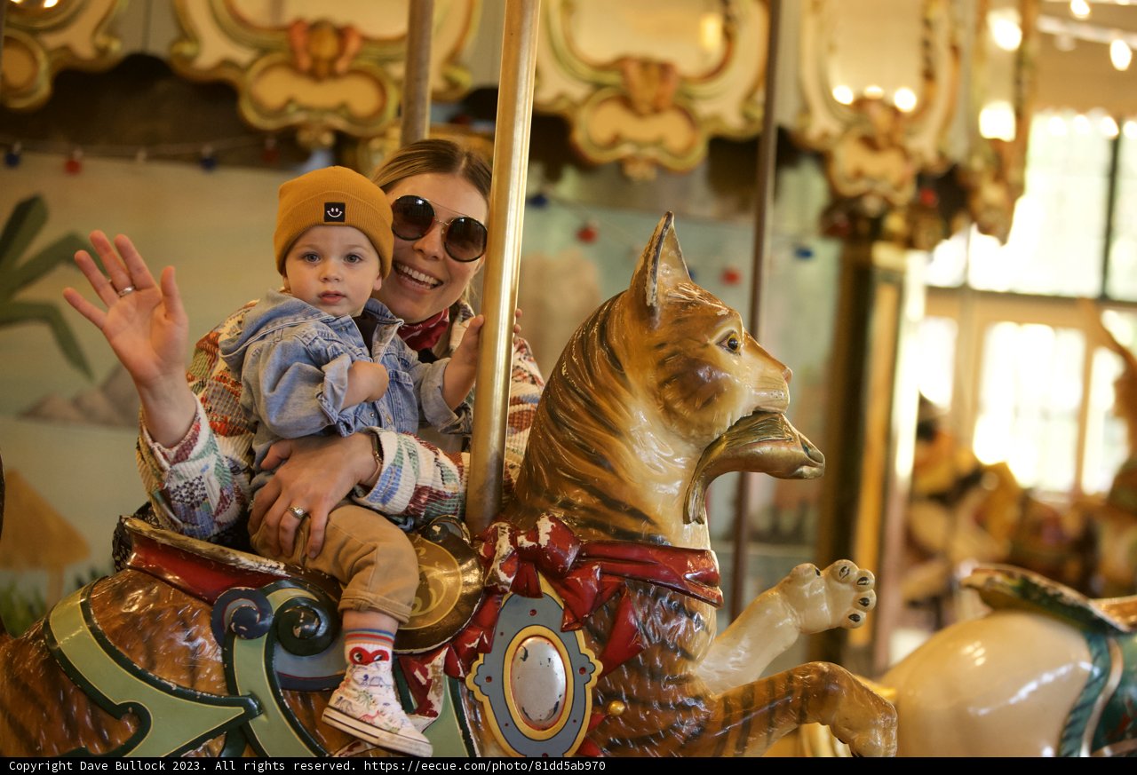 Carousel Adventures with Loved Ones