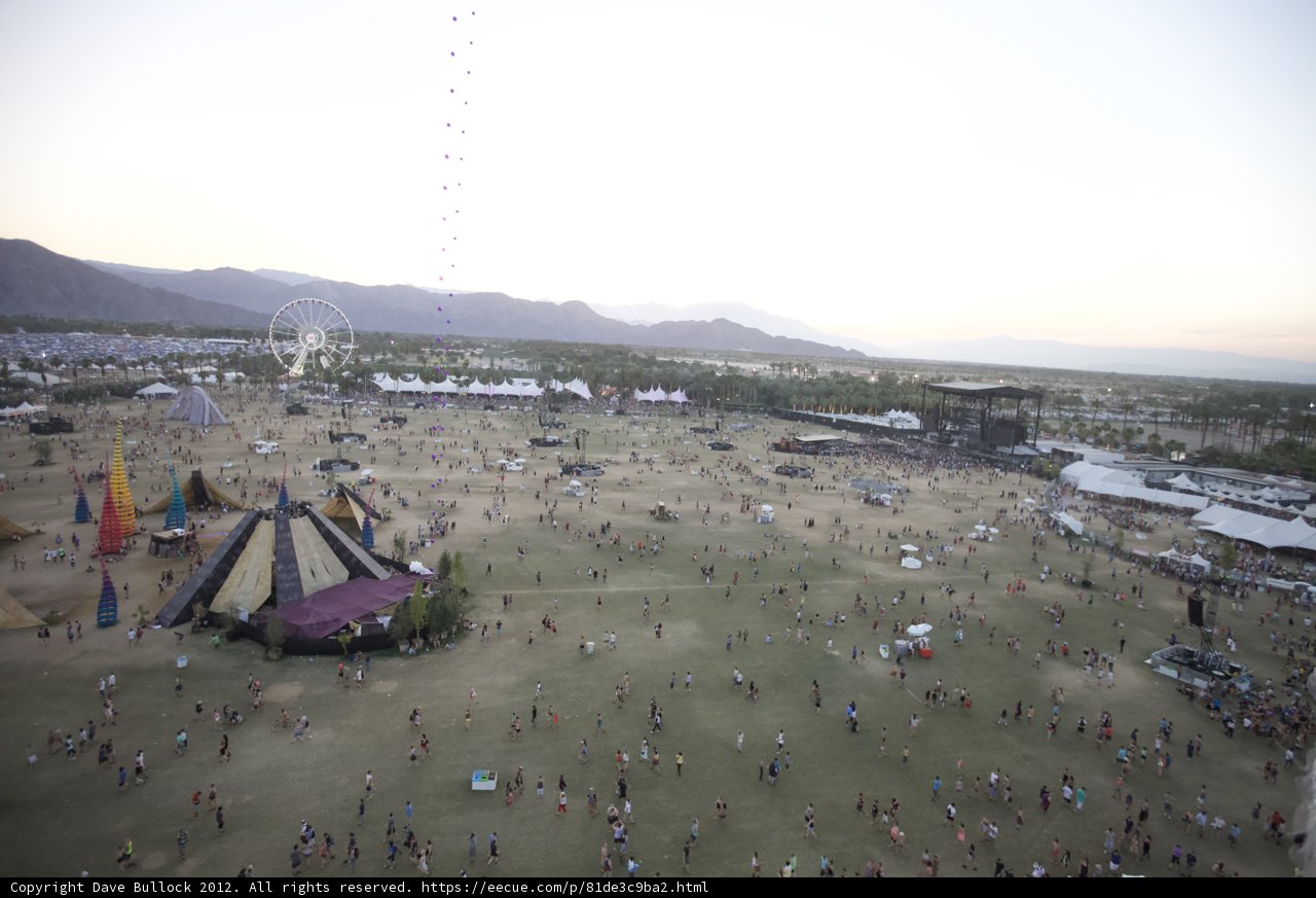 Desert Festival Hustle