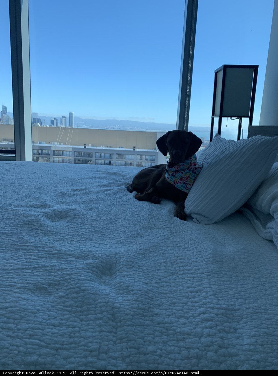 City View Naptime