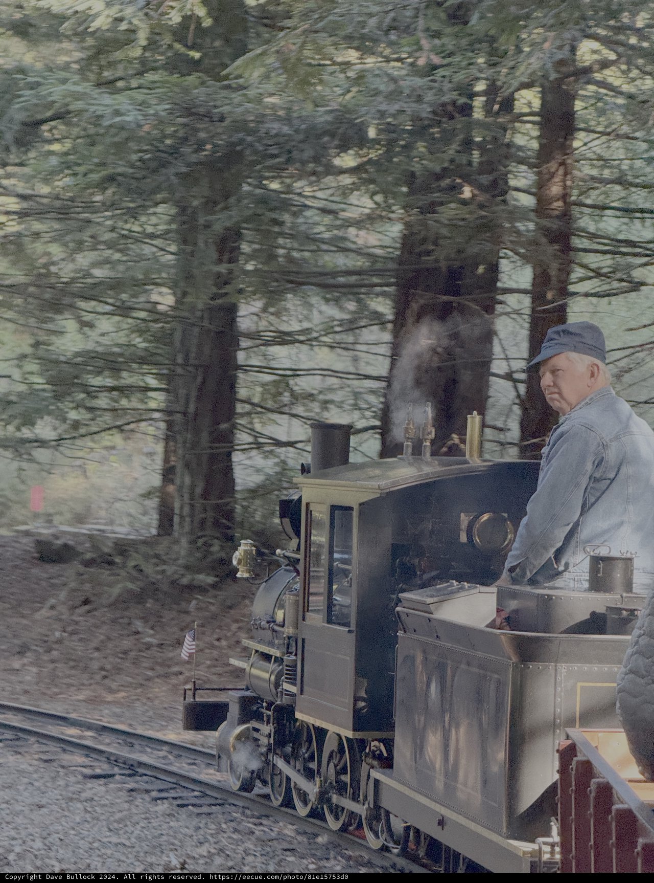 Steam Locomotive Engineer in Forest Setting