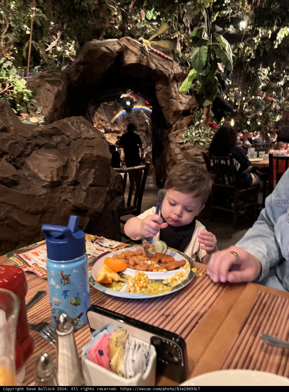 Jungle Feast Adventure