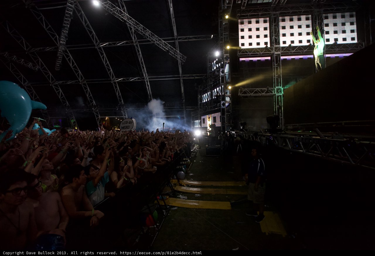 Hands in the Air at Coachella
