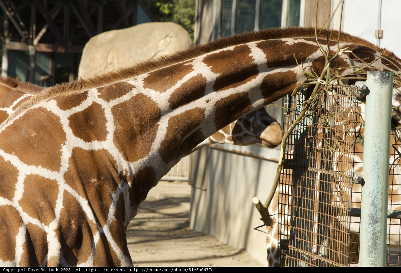 Tall Order Lunch at SF Zoo