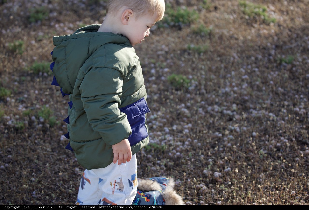 Toddler Explorer Discovers Nature at Mount Diablo