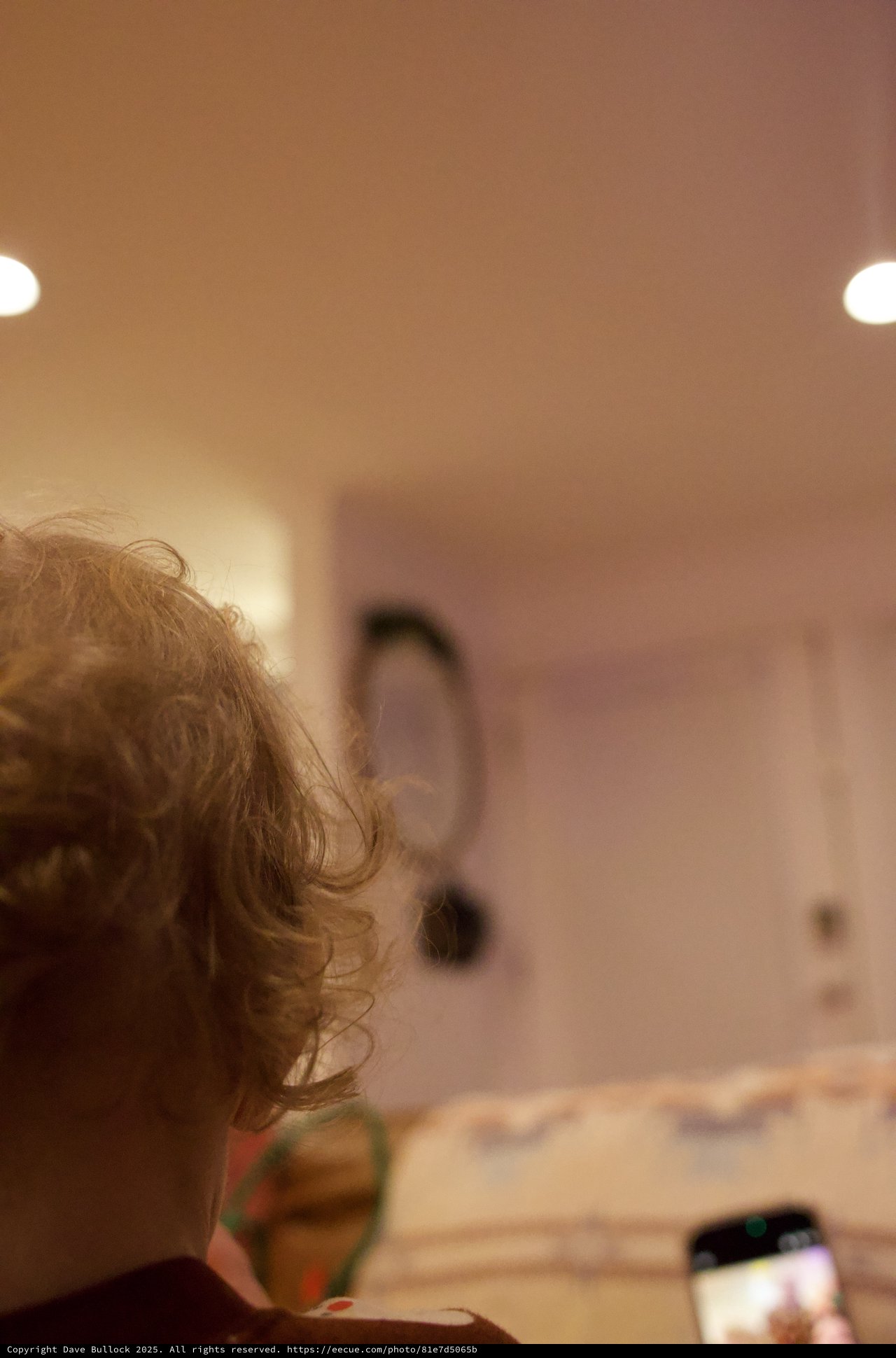 Curly-Haired Child Reading on Christmas Afternoon
