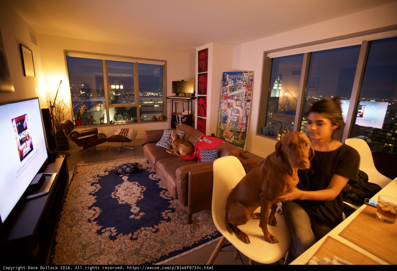 Relaxing with a Furry Friend