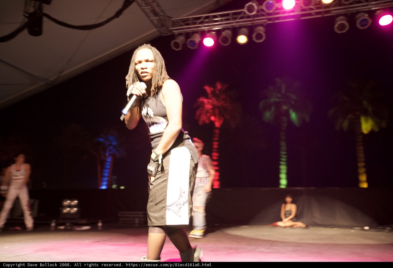 Spotlight on the Solo Performer