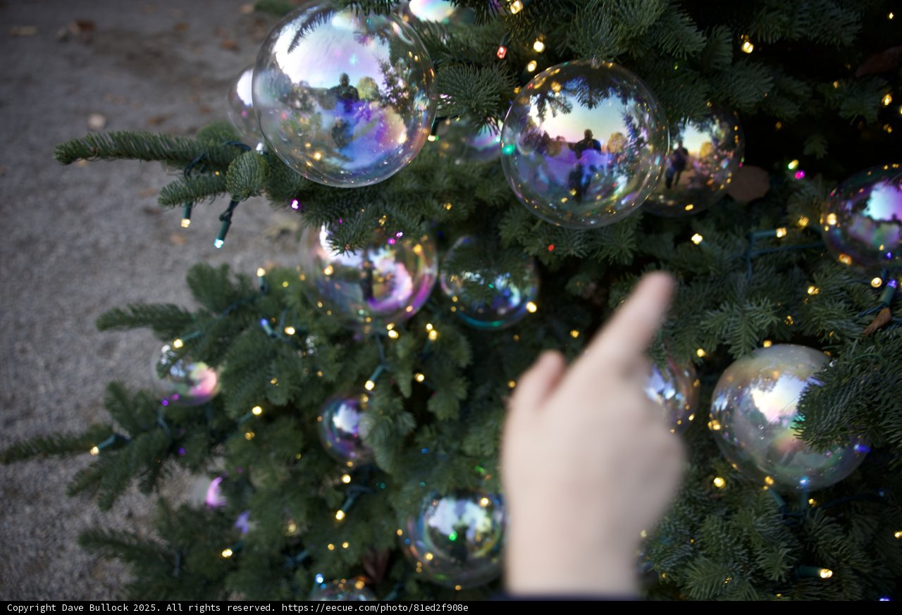 Reflective Wonders