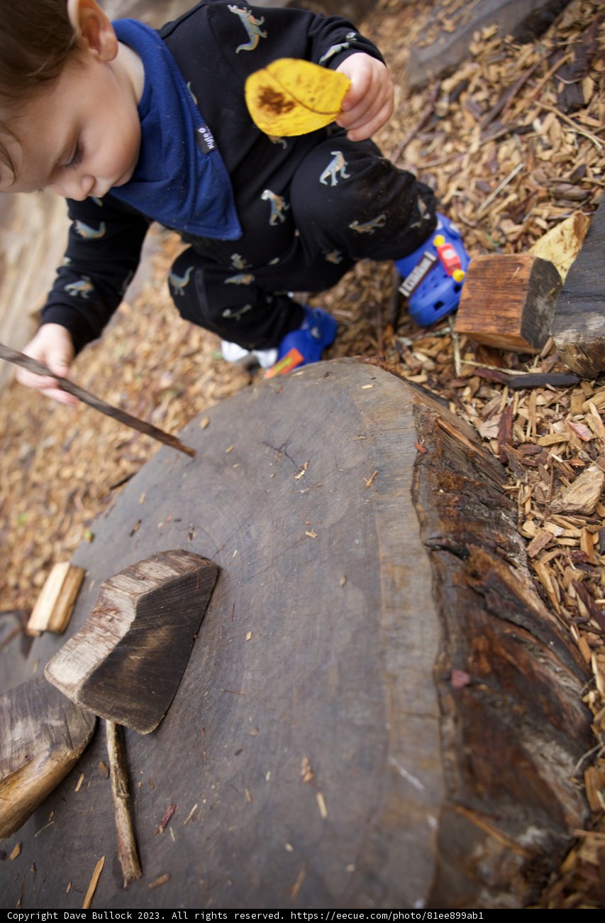 Wesley's Adventure in the Golden Gate Park, 2023