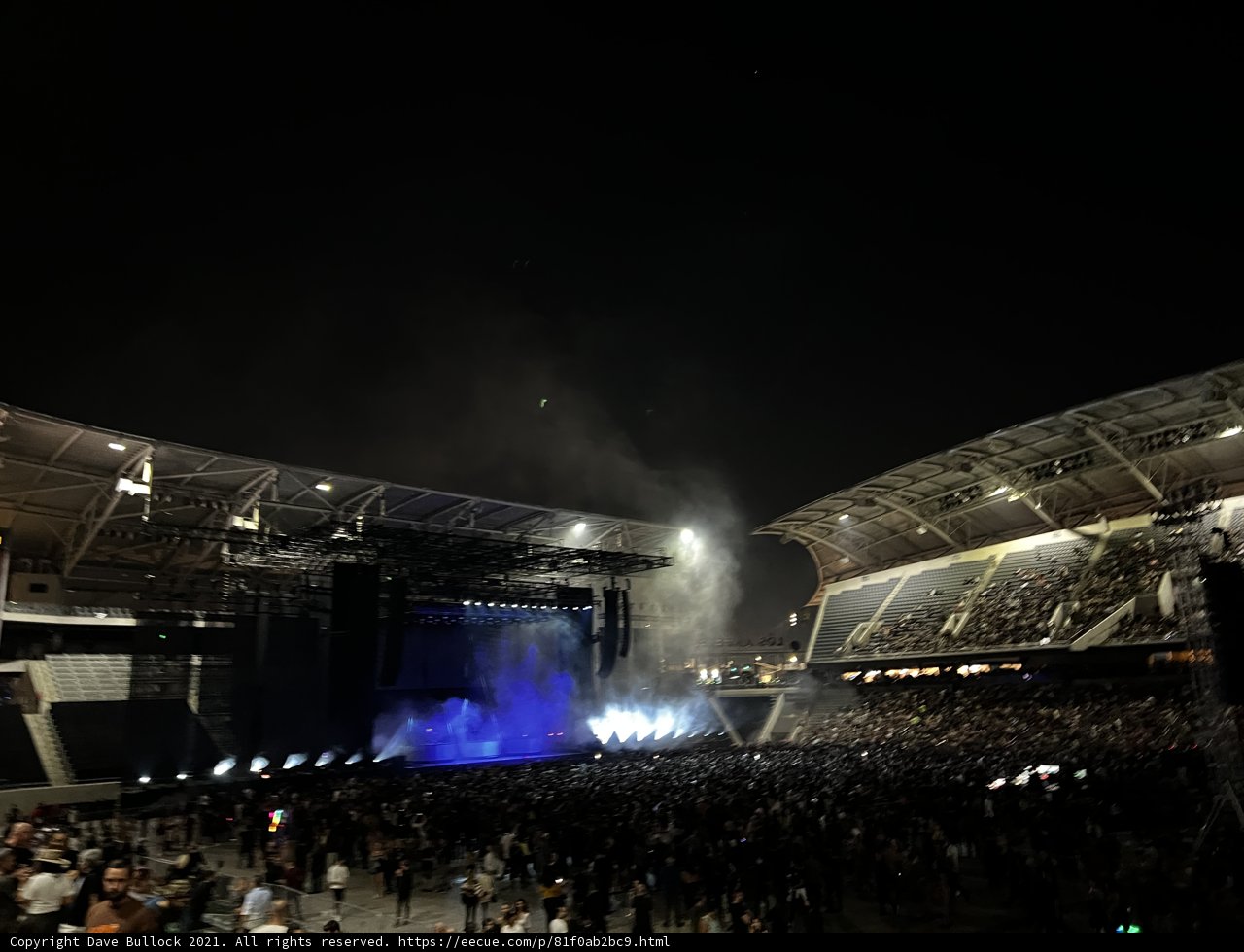Electric Night
