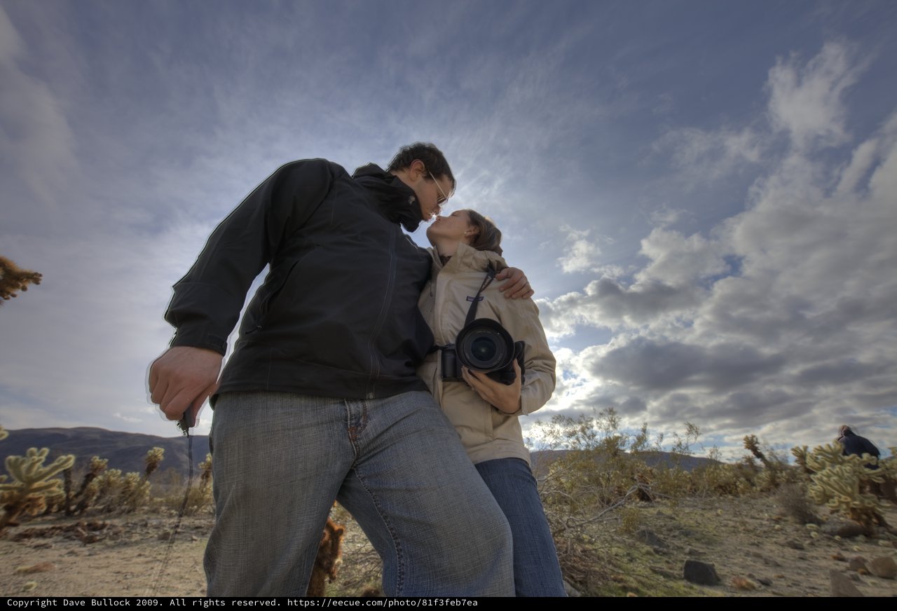 Desert Romance at Joshua Tree National Park