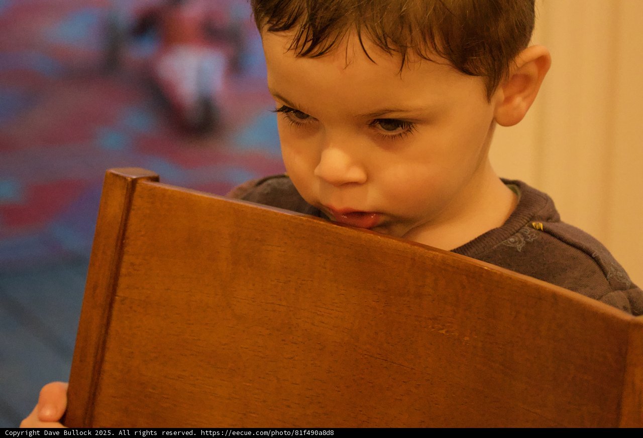 Childlike Curiosity