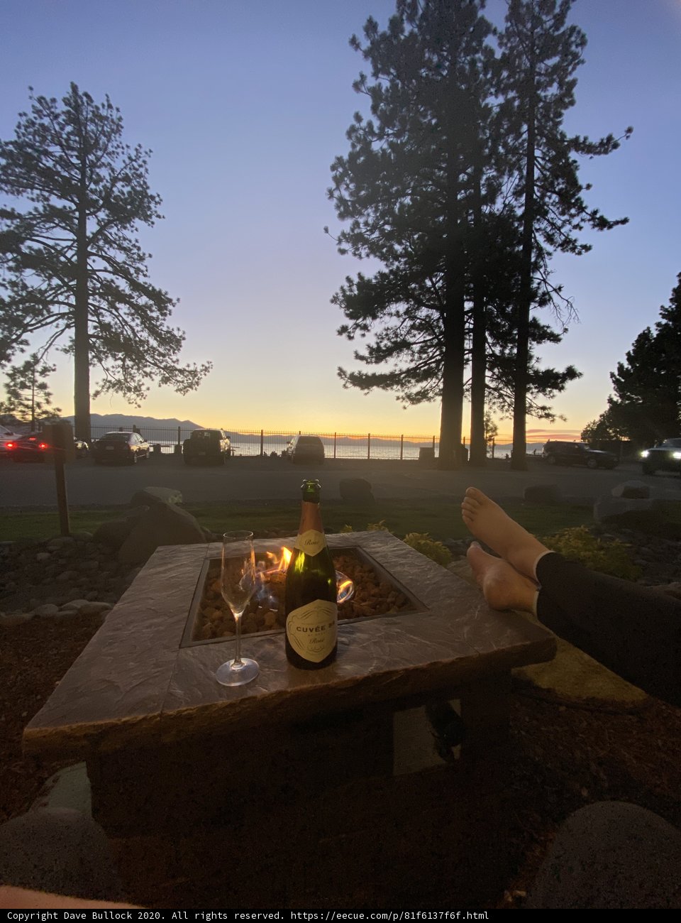 A Toast to Nature's Beauty