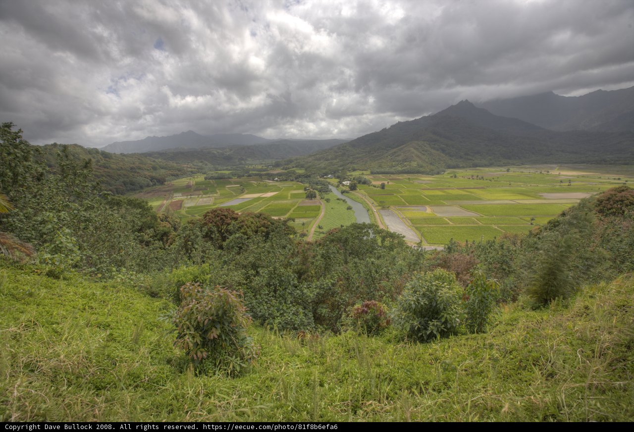 Majestic View of Valley and Mountains