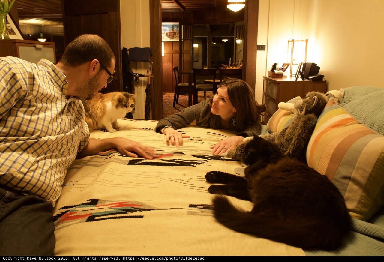 Couple Relaxing on Bed with Their Cats