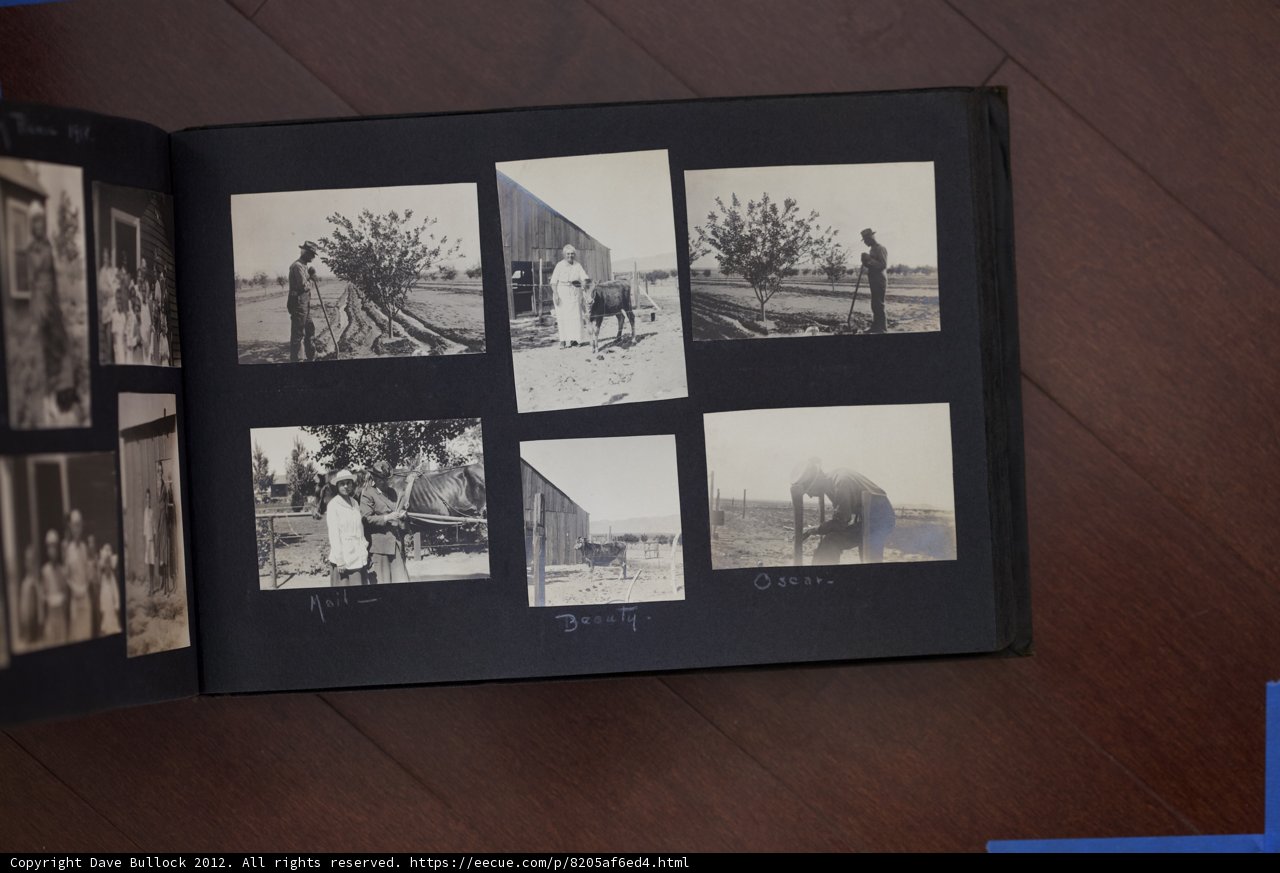 Bullock Curtis Family Photo Collage