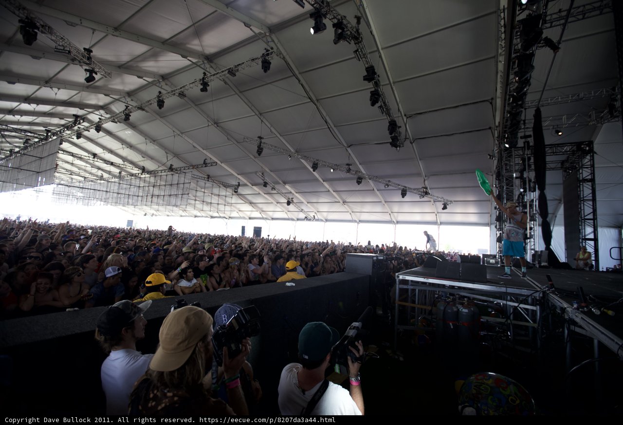 Coachella Crowd Goes Wild