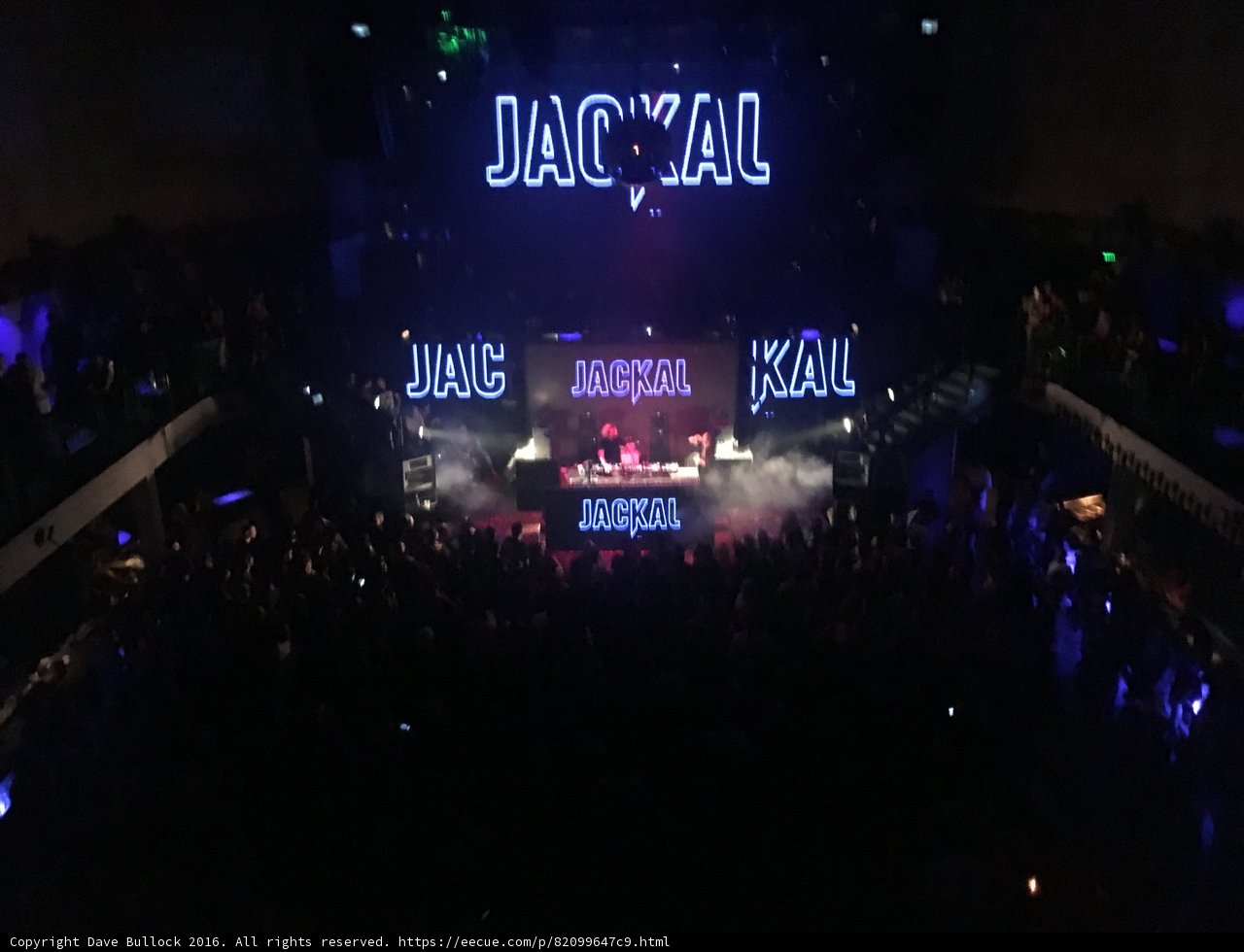 Crowd Rocking at the Jacal Nightclub